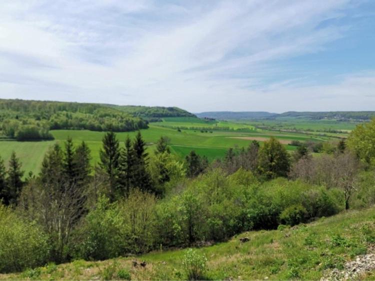 Le Nid D'Alex Spa , Rando Et Table D'Hote Autigny-la-Tour Bagian luar foto
